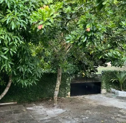 Slice Of Paradise